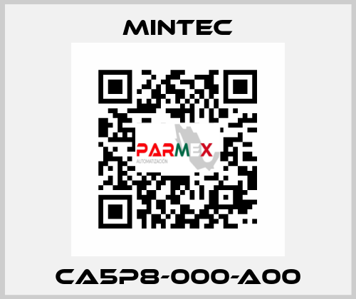 CA5P8-000-A00 MINTEC