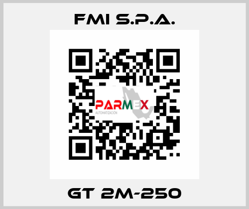 GT 2M-250 FMI S.p.A.