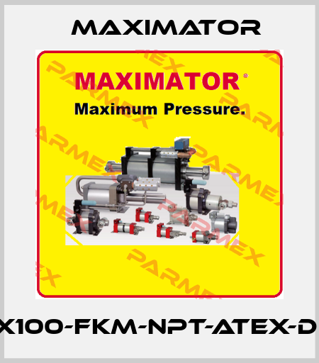 GX100-FKM-NPT-ATEX-DIR Maximator