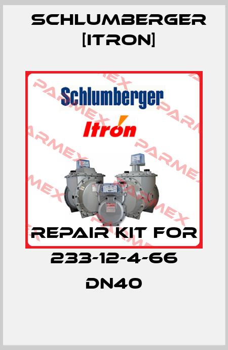Repair kit for 233-12-4-66 DN40 Schlumberger [Itron]