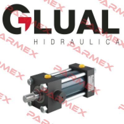 Seal kit for 160/125-100/80-60x3759 Glual Hydraulics