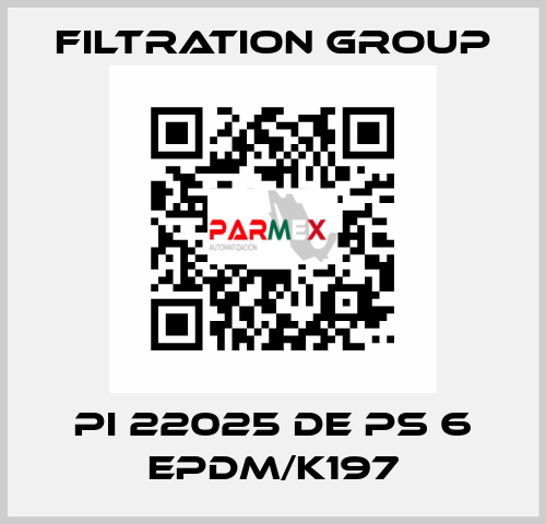 PI 22025 DE PS 6 EPDM/K197 Filtration Group