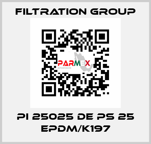 PI 25025 DE PS 25 EPDM/K197 Filtration Group