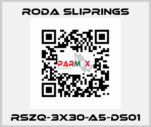 RSZQ-3X30-A5-DS01 Roda Sliprings