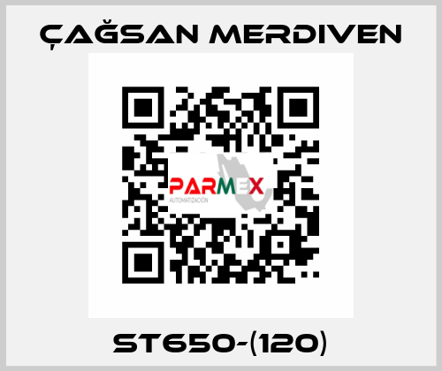 ST650-(120) Çağsan Merdiven