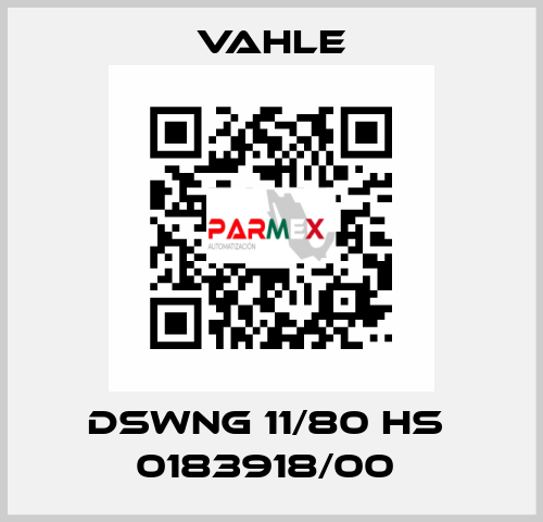 DSWNG 11/80 HS  0183918/00  Vahle