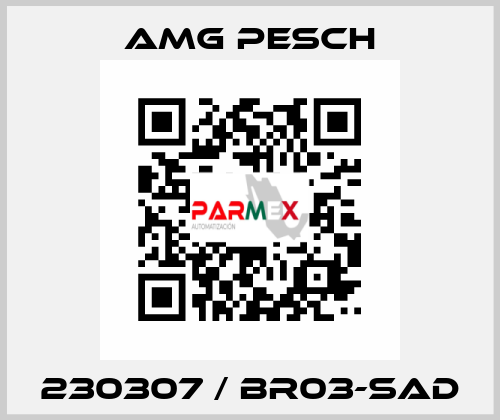 230307 / BR03-SAD AMG Pesch