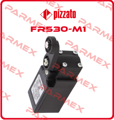 FR530-M1 Pizzato Elettrica