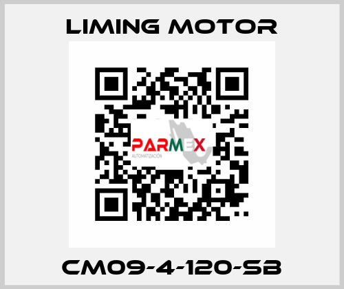 CM09-4-120-SB Liming Motor