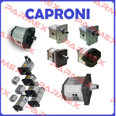 Seal kit for pump 20C19X301UN. Caproni