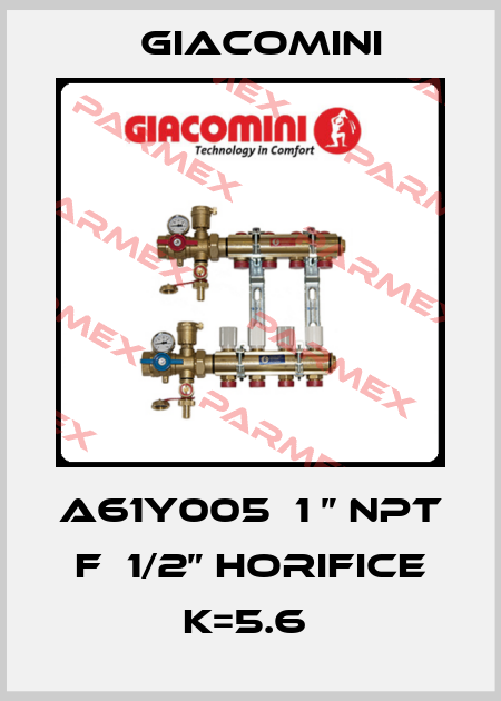 A61Y005  1 ” NPT F  1/2” horifice K=5.6  Giacomini