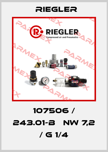 107506 / 243.01-B   NW 7,2 / G 1/4 Riegler
