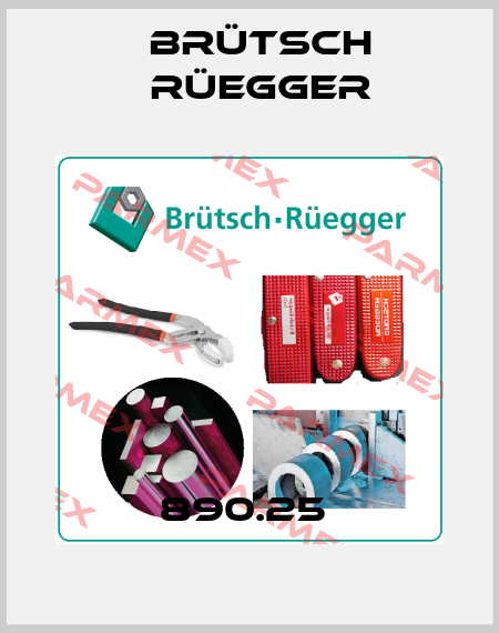 890.25  Brütsch Rüegger