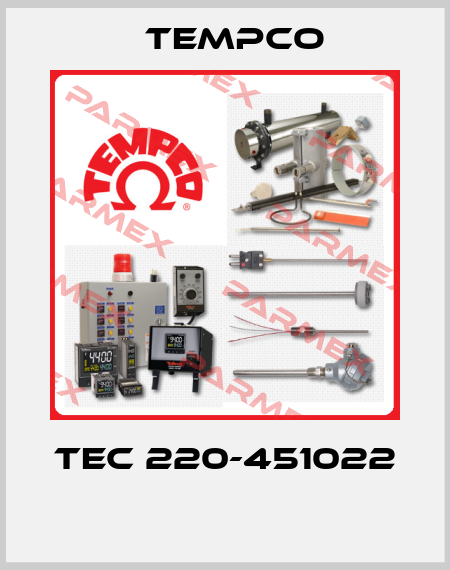  TEC 220-451022  Tempco