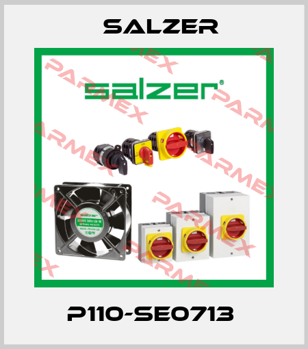 P110-SE0713  Salzer