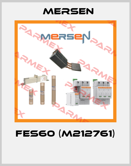 FES60 (M212761)  Mersen