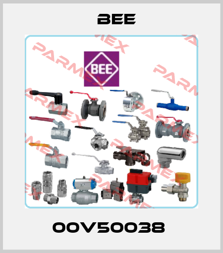 00V50038  BEE