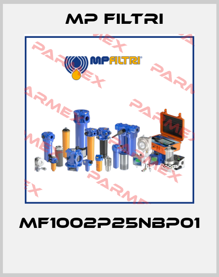 MF1002P25NBP01  MP Filtri