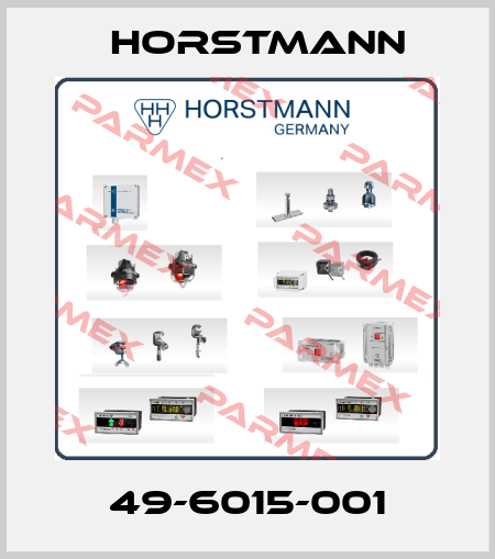 49-6015-001 Horstmann
