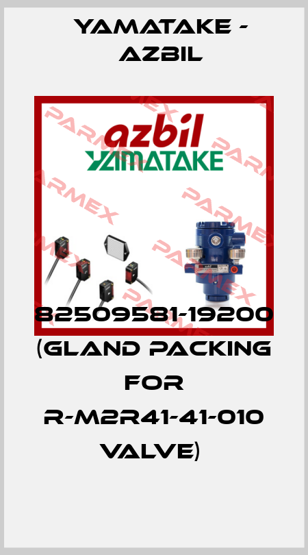 82509581-19200 (Gland packing for R-M2R41-41-010 valve)  Yamatake - Azbil