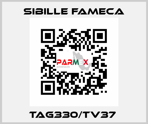 TAG330/TV37  Sibille Fameca