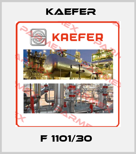 F 1101/30  Kaefer
