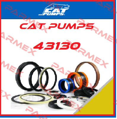 43130 Cat Pumps