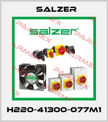 H220-41300-077M1 Salzer