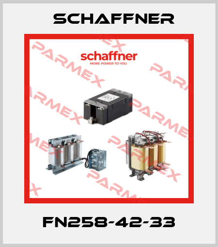 FN258-42-33 Schaffner