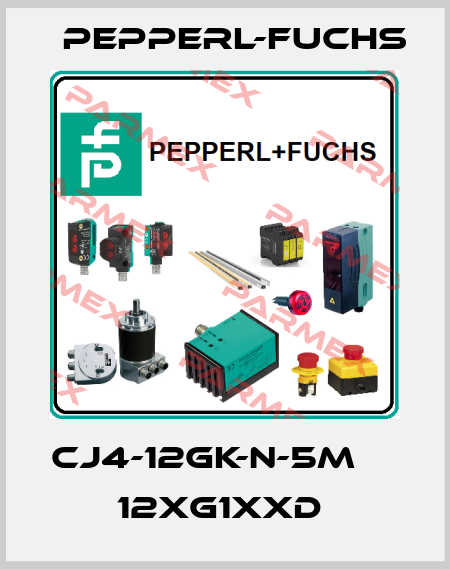 CJ4-12GK-N-5M         12xG1xxD  Pepperl-Fuchs