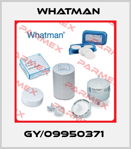 GY/09950371  Whatman