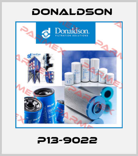 P13-9022  Donaldson