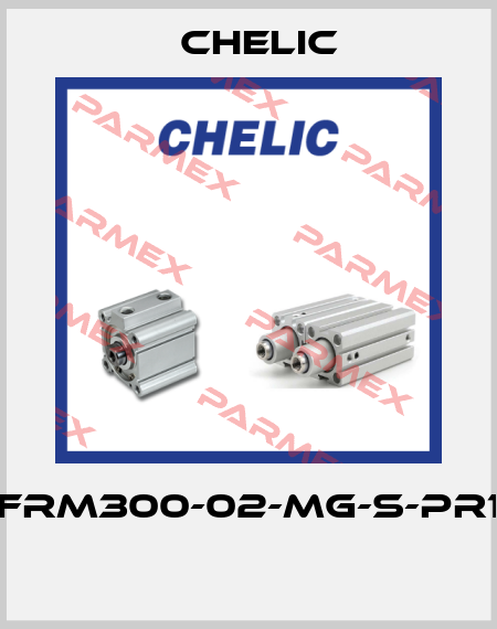 NFRM300-02-MG-S-PR10  Chelic