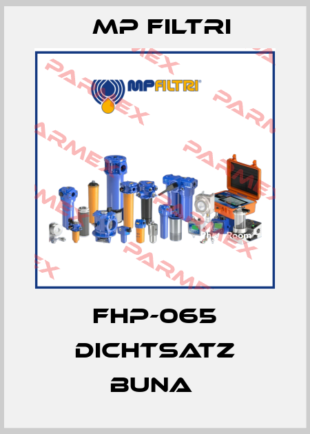 FHP-065 DICHTSATZ BUNA  MP Filtri