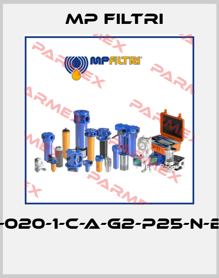 MPT-020-1-C-A-G2-P25-N-B-P01  MP Filtri