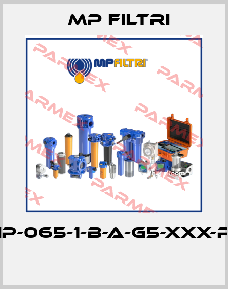 FHP-065-1-B-A-G5-XXX-P01  MP Filtri