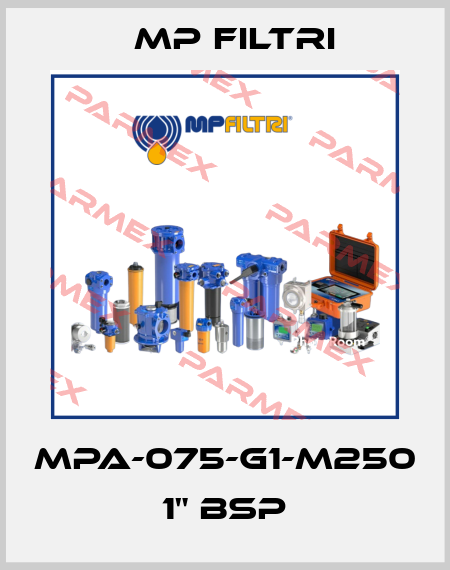MPA-075-G1-M250   1" BSP MP Filtri