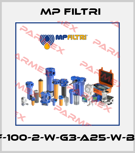 MPF-100-2-W-G3-A25-W-B-P01 MP Filtri