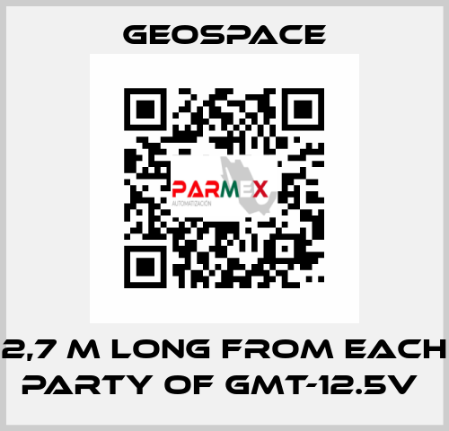 2,7 M LONG FROM EACH PARTY OF GMT-12.5V  GeoSpace