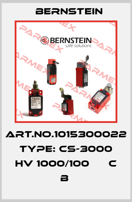 Art.No.1015300022 Type: CS-3000 HV 1000/100      C   B  Bernstein