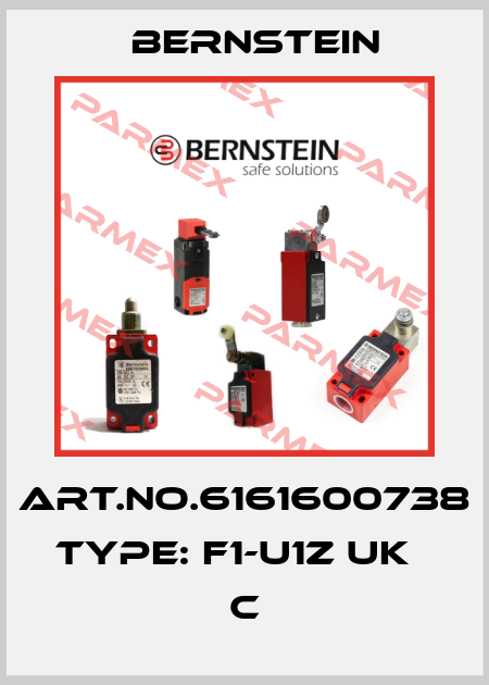 Art.No.6161600738 Type: F1-U1Z UK                    C Bernstein