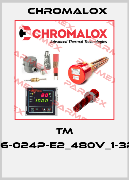 TM -06-024P-E2_480V_1-3P_  Chromalox