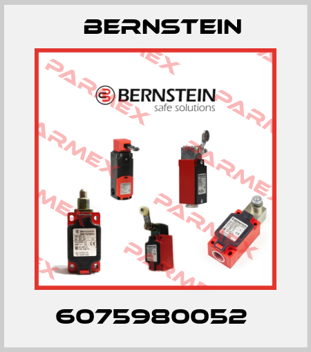 6075980052  Bernstein