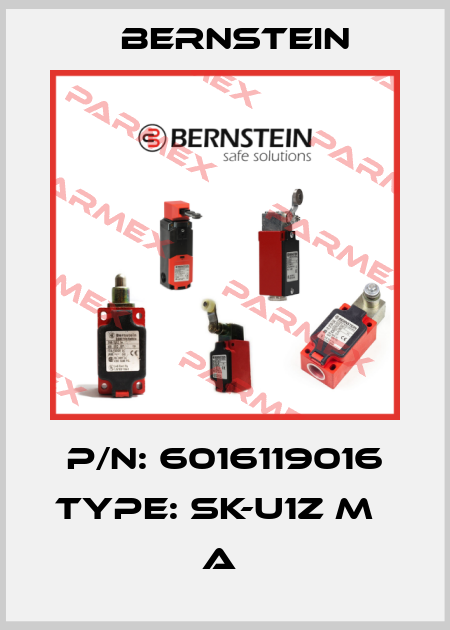 P/N: 6016119016 Type: SK-U1Z M                     A  Bernstein