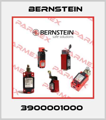 3900001000  Bernstein