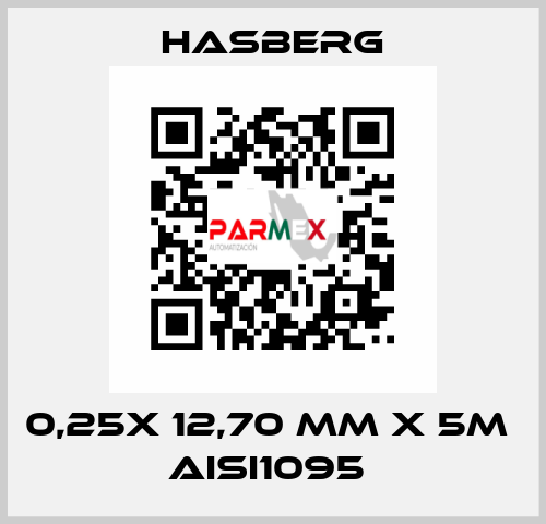 0,25X 12,70 MM X 5M  AISI1095  Hasberg