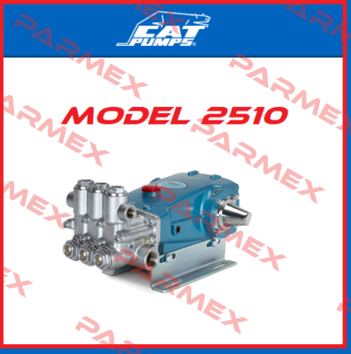 2510 Cat Pumps