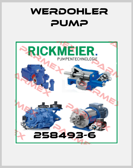 258493-6  Werdohler Pump