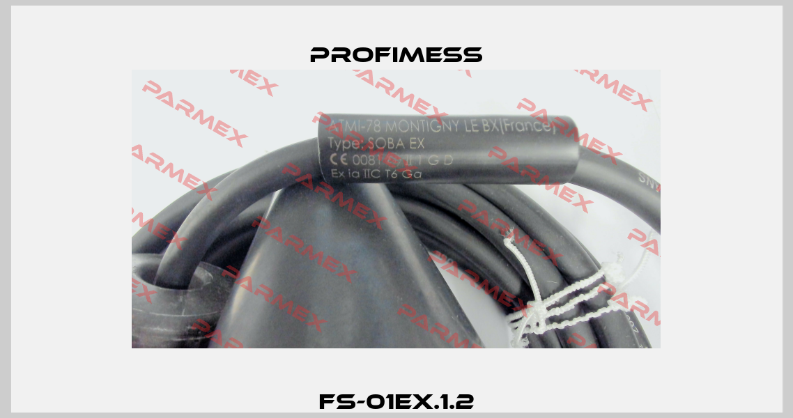 FS-01EX.1.2 Profimess