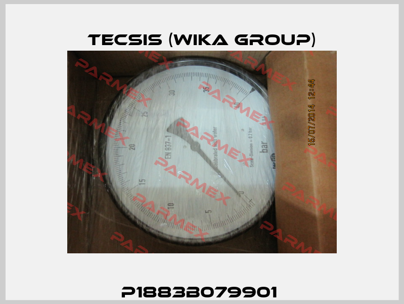 P1883B079901  Tecsis (WIKA Group)